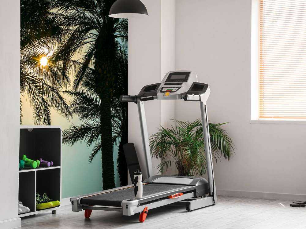 Silhouet van palmbomen