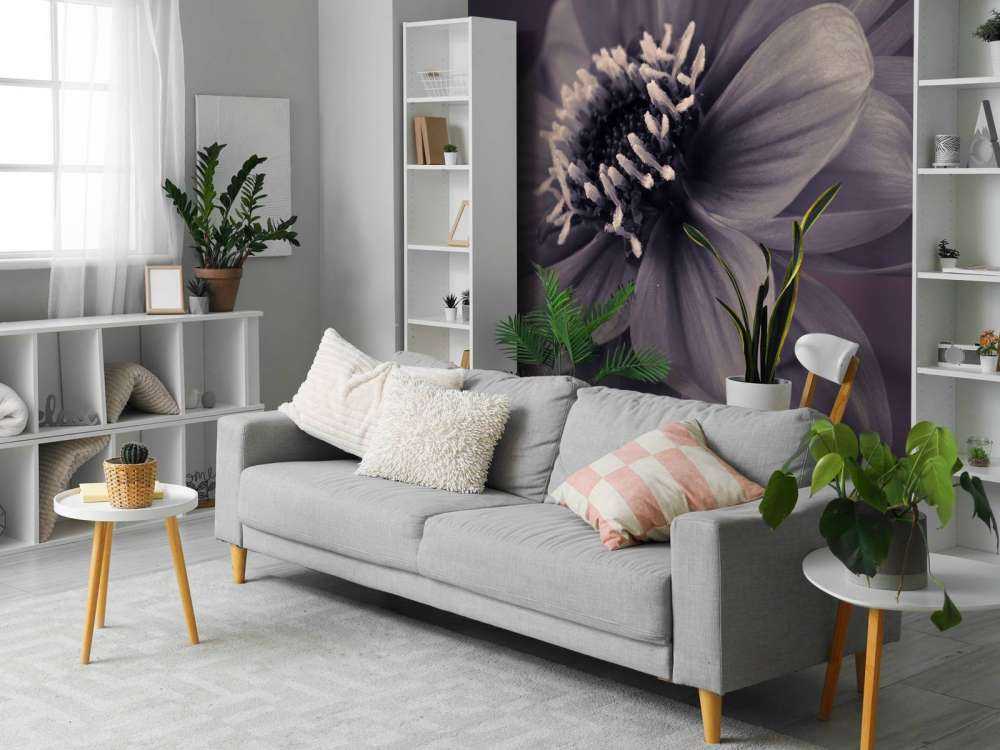 Donkere dahlia bloem