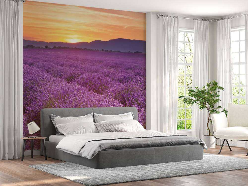 Veld vol lavendel