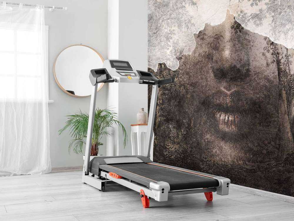 De ziel van het woud