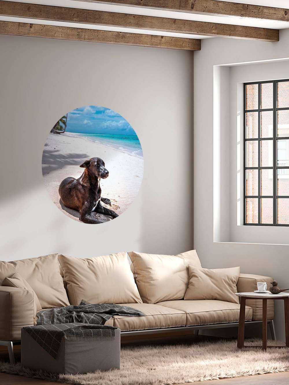 Zwarte hond aan tropisch strand