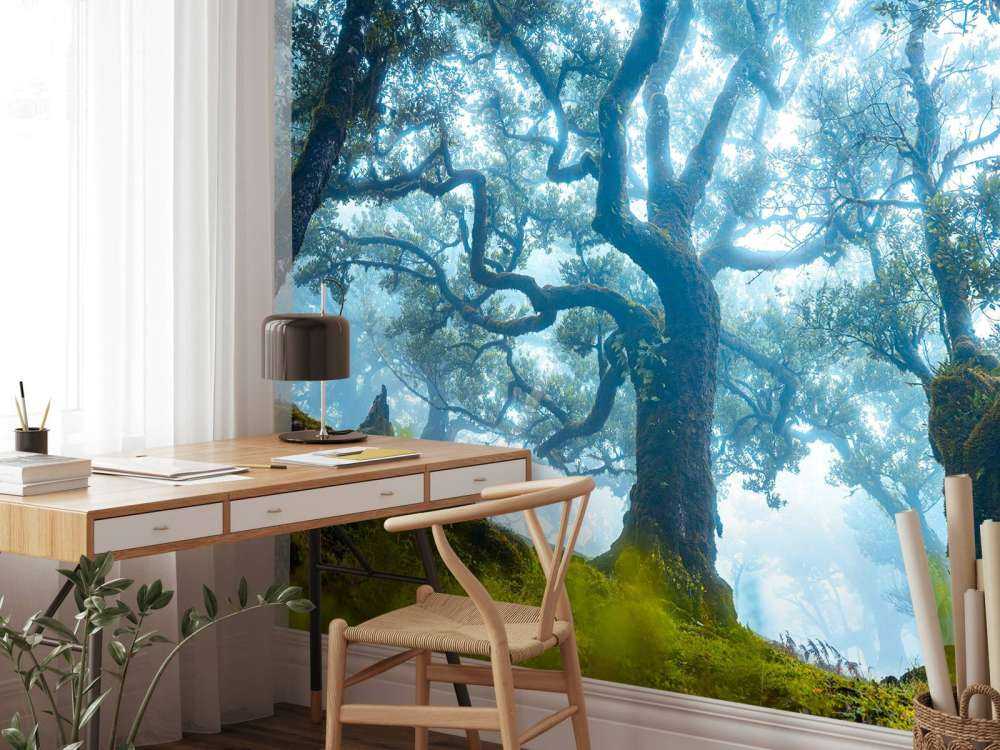 Sprookjesbos in ochtendmist