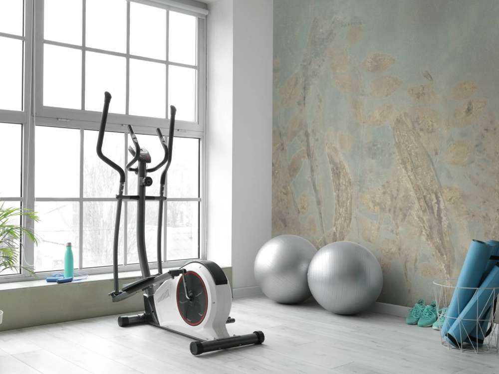 Schapenzuring en struikwilg - saliegroen