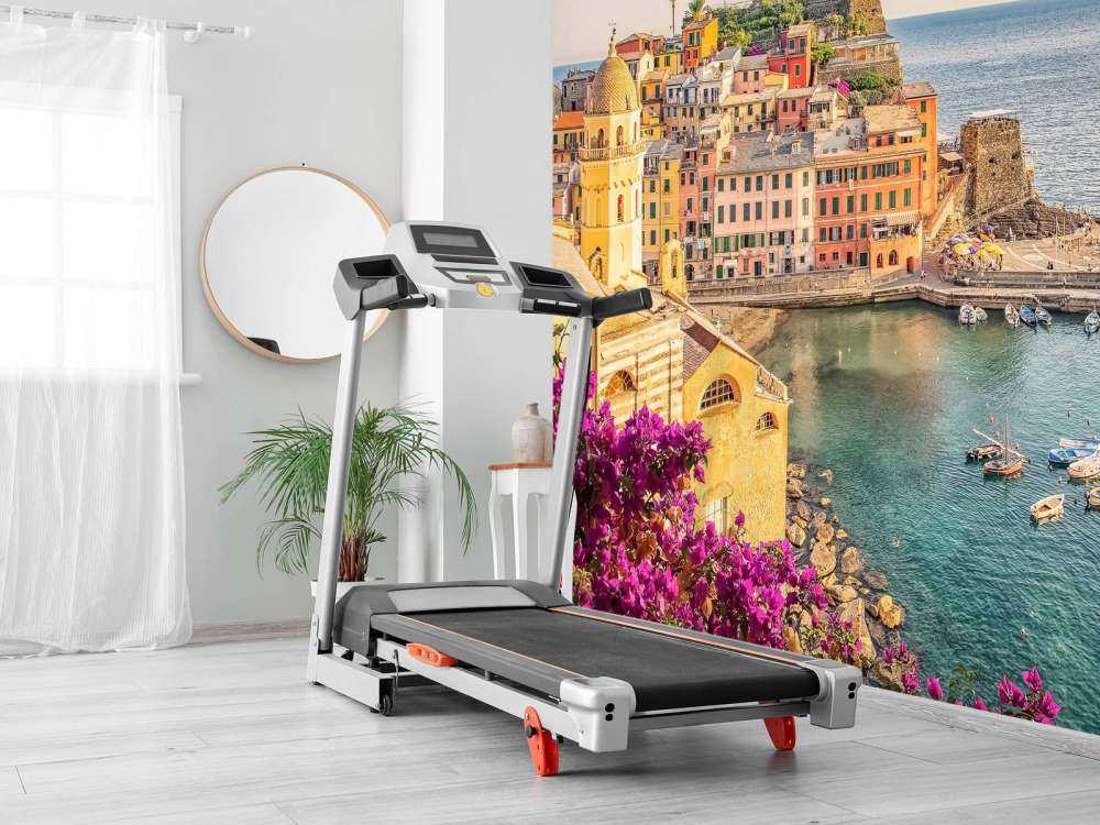 Zomerlicht over kleurrijke havenstad