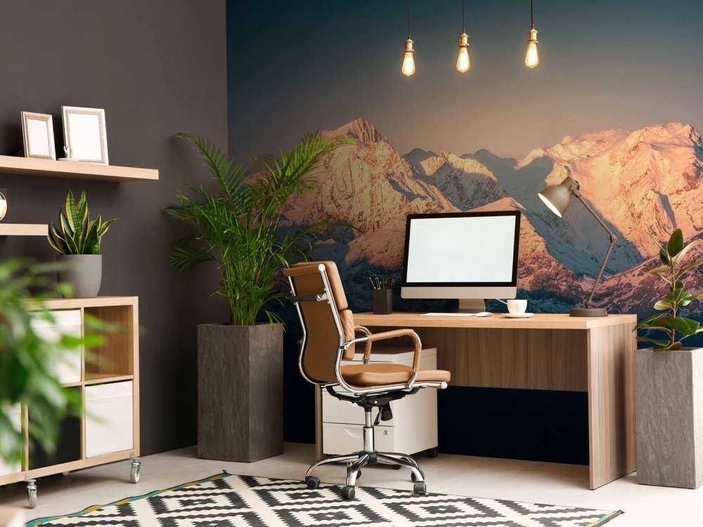 Ochtendlicht op besneeuwde bergtoppen