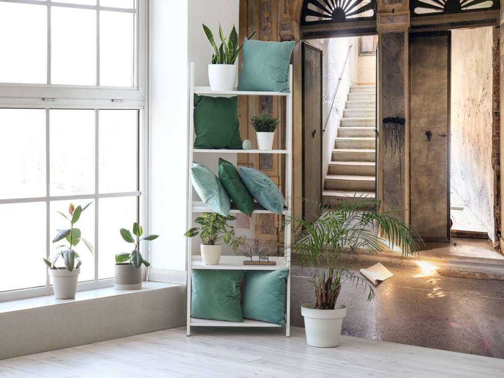 Verlaten Landhuis Entree