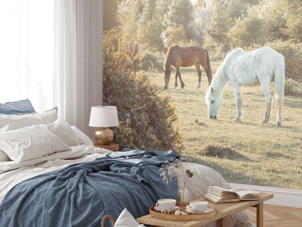 Grazende paarden