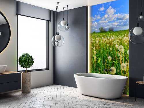 Veld paardenbloemen