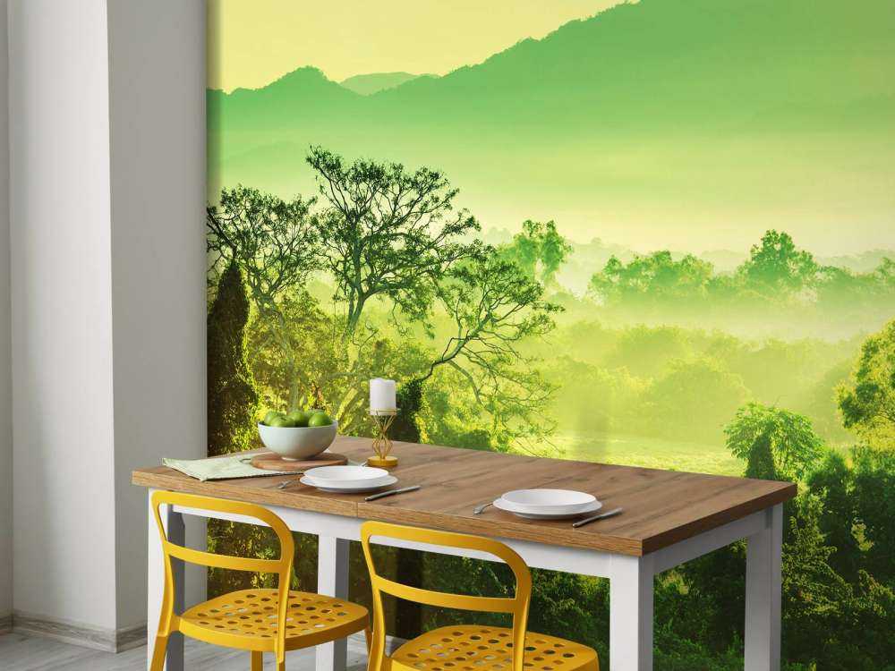 Tropische jungle in Mexico