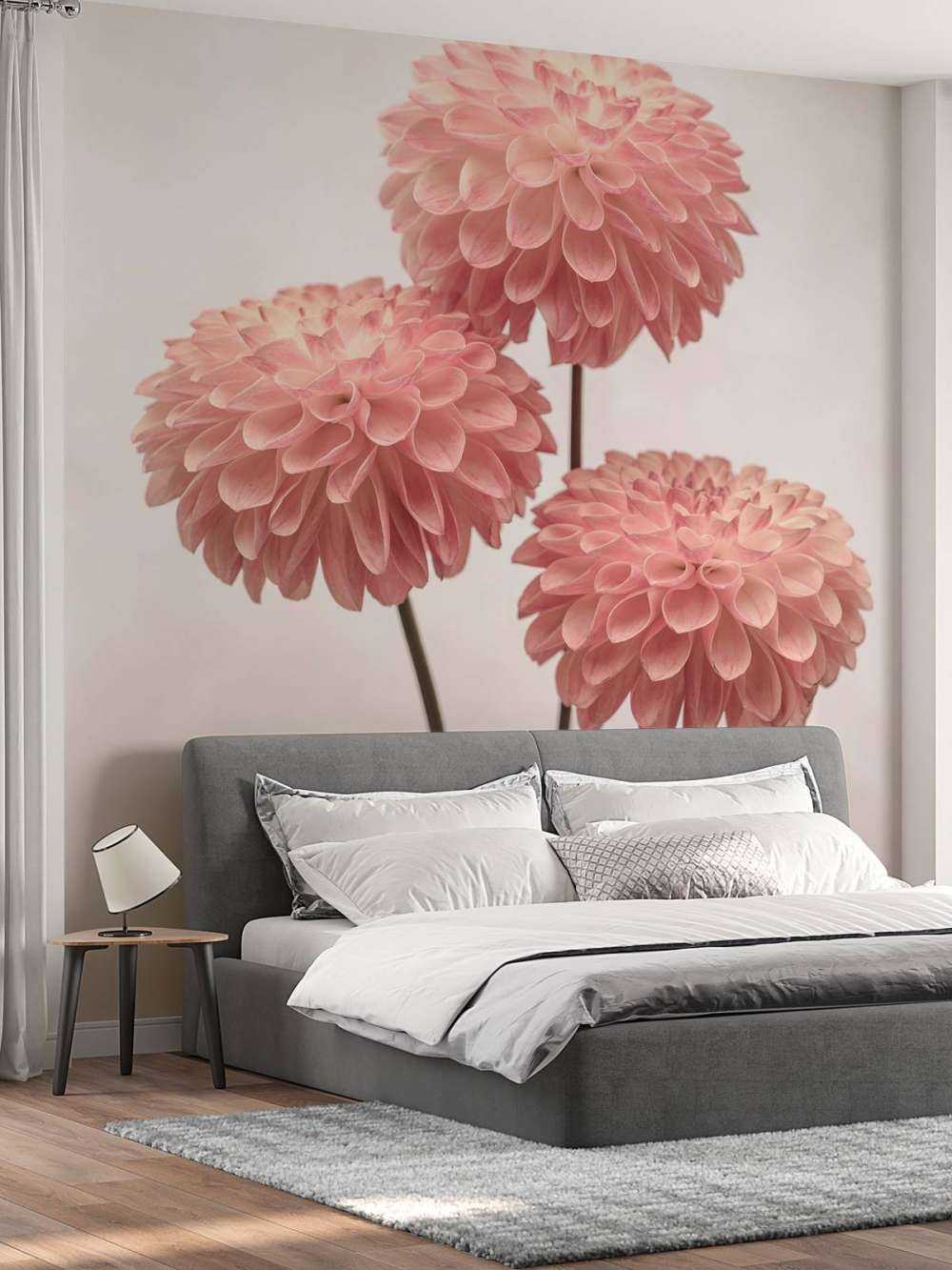 Drie roze dahlia's