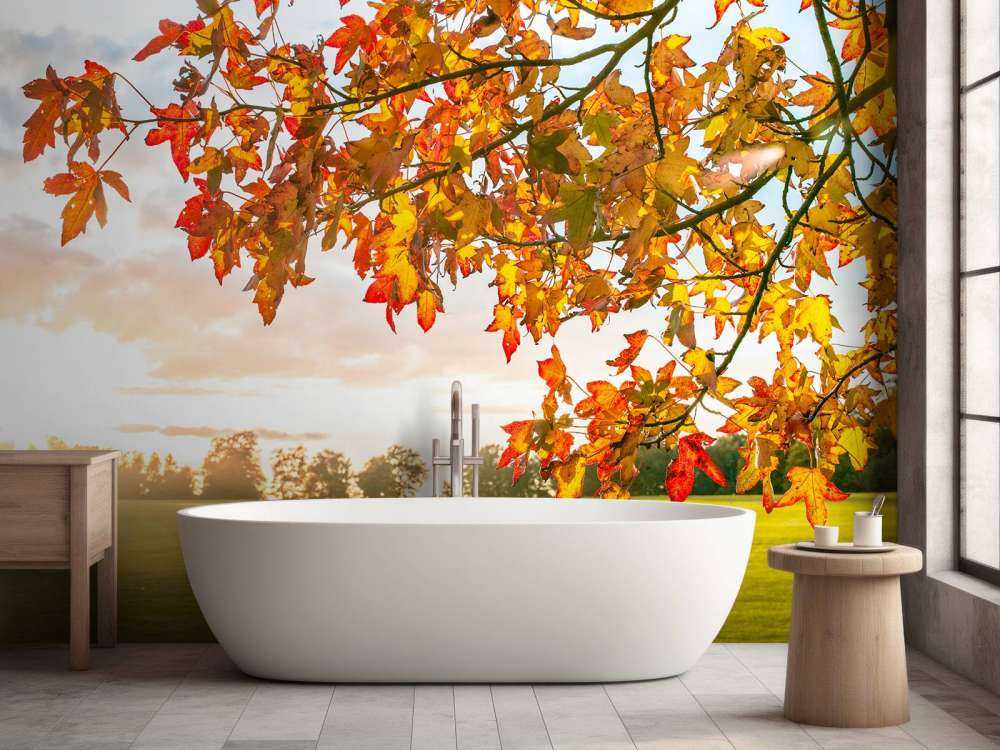 Herfstboom bij zonsondergang