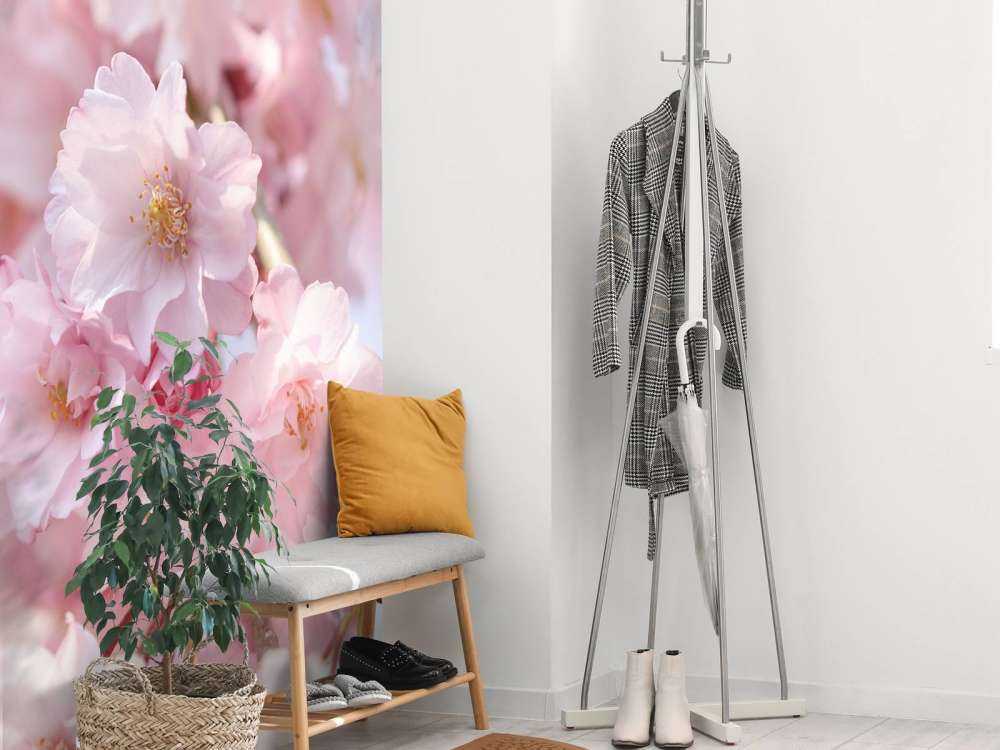 Close-up roze bloesems