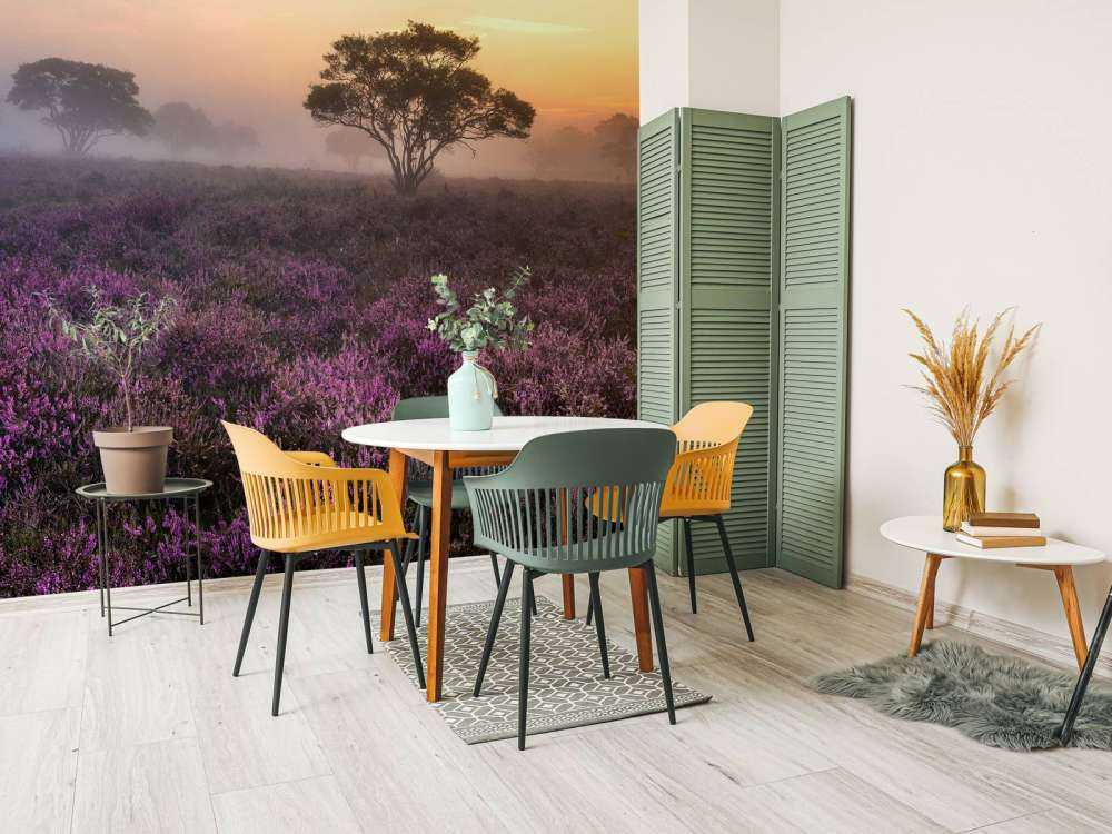 De Veluwe in de vroege ochtend