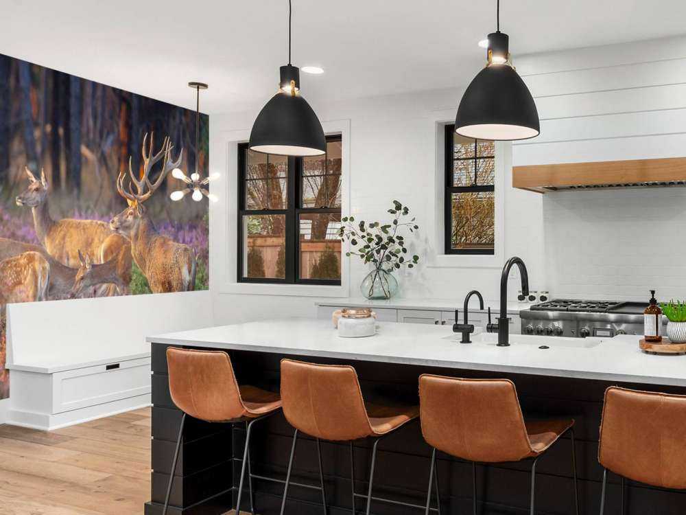 Groep herten op de Veluwe