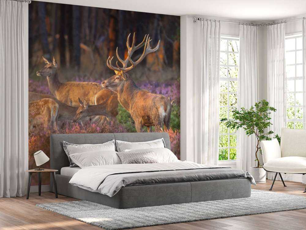 Groep herten op de Veluwe