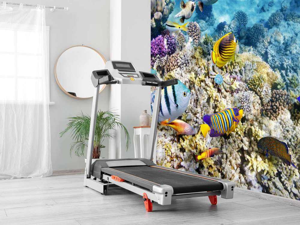 Exotische vissen en koralen