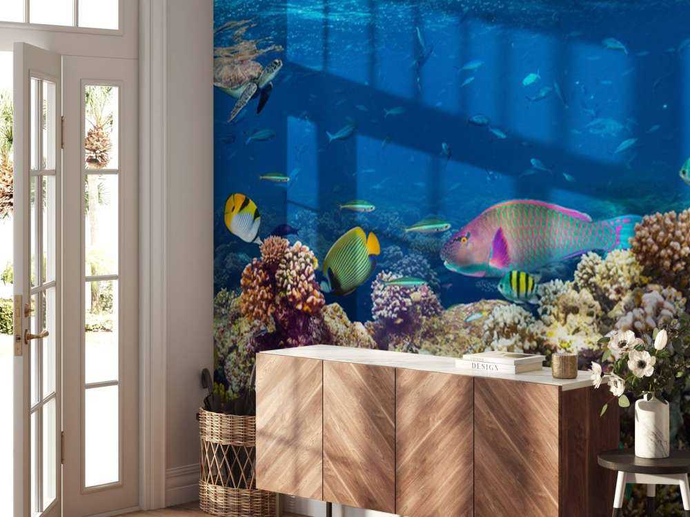 Koraalrif met veel verschillende soorten onderwater dieren