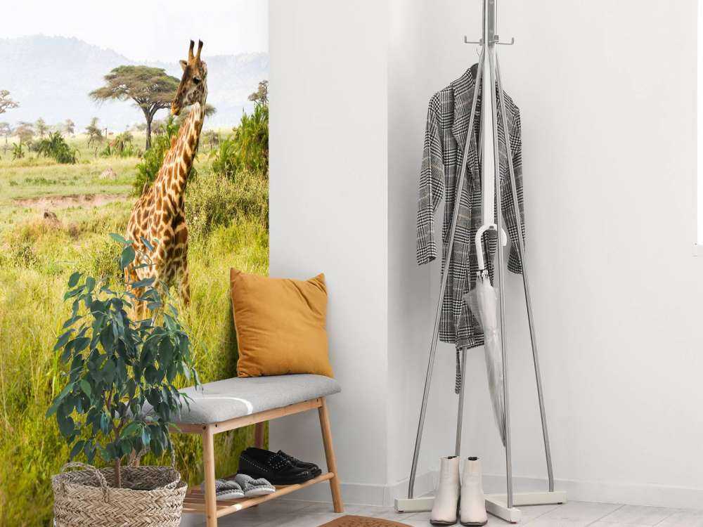 Giraffen in Tanzania