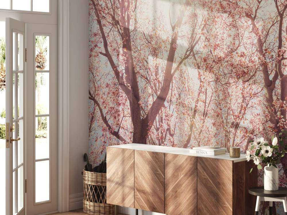 Boom Bloesem met Zon op Achtergrond