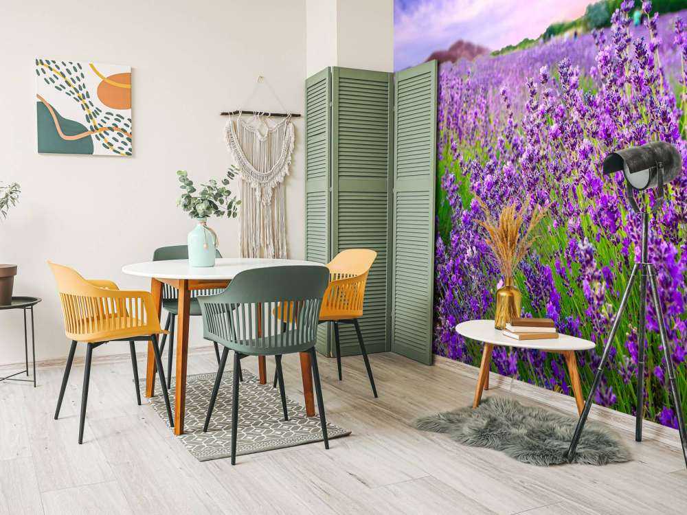 Lavendel met zonsondergang