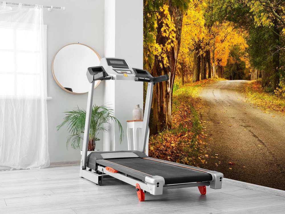 Weg met Bomen in de Herfst