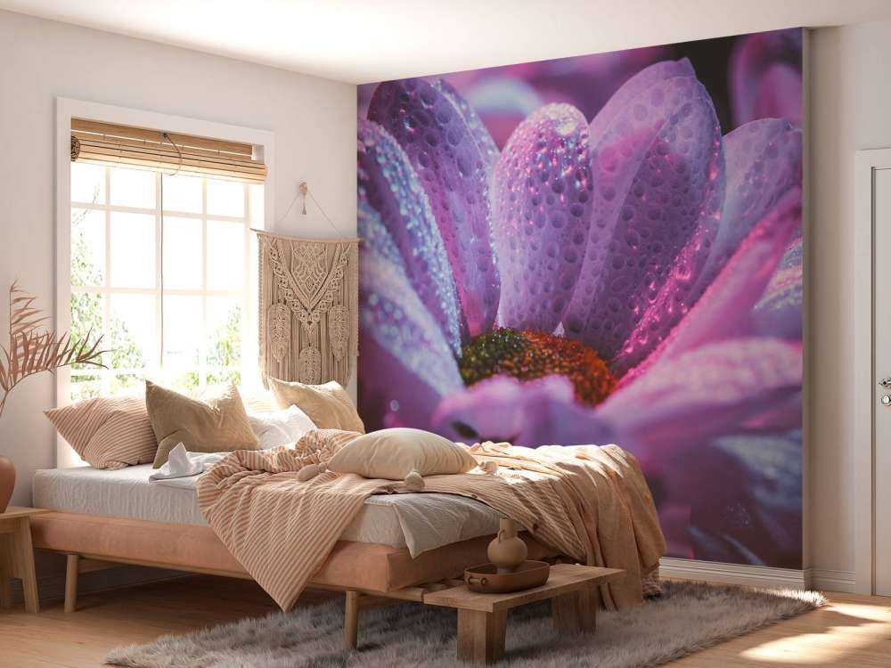 Chrysant bloem met dynamische kleuren