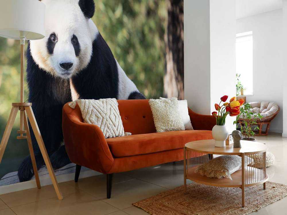 Panda op een houten balk