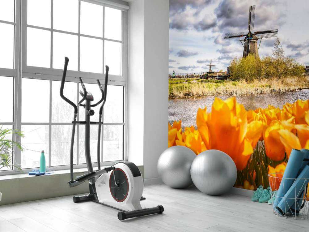 Hollandse molen met oranje tulpen op de voorgrond