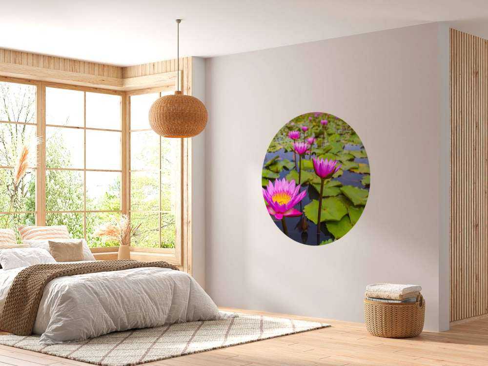 Opvallende roze lotusbloem