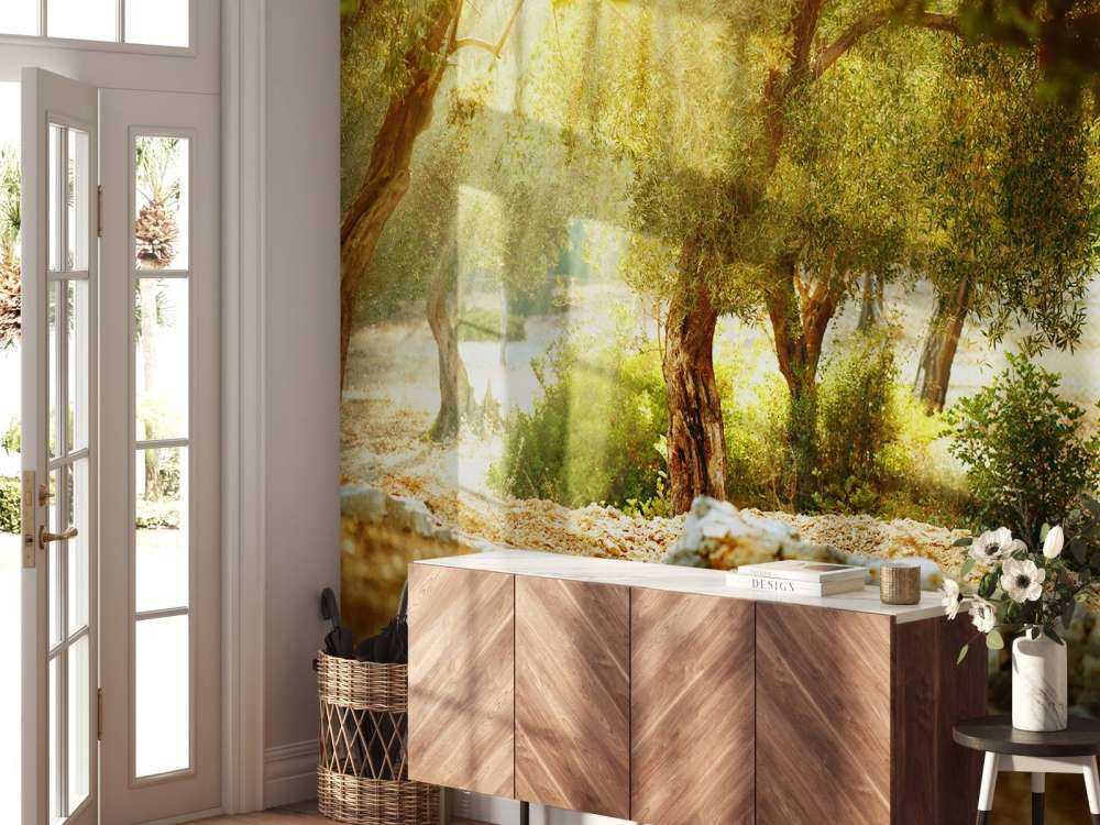 Mediterrane Olijven Boomgaard