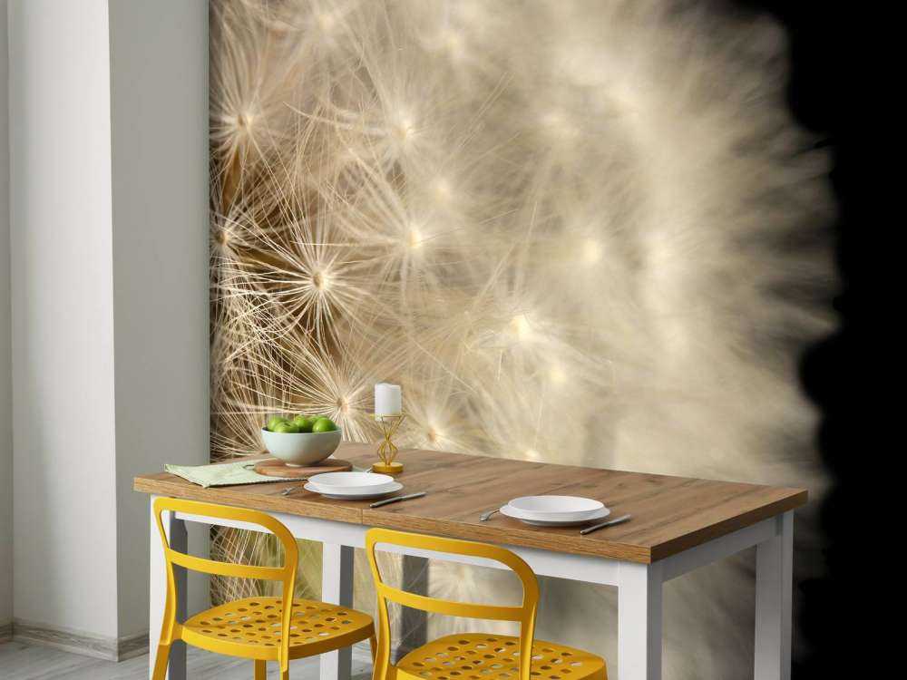 Paardenbloem met zwarte achtergrond