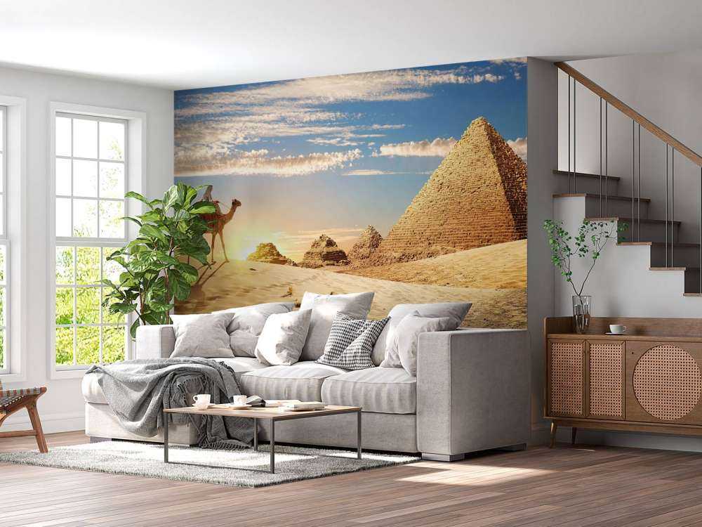 Kameel in de woestijn bij zonsondergang