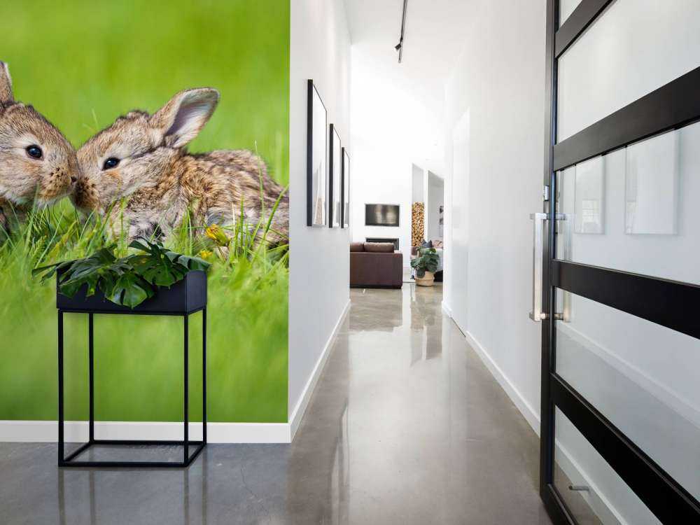 Twee baby haasjes in het gras