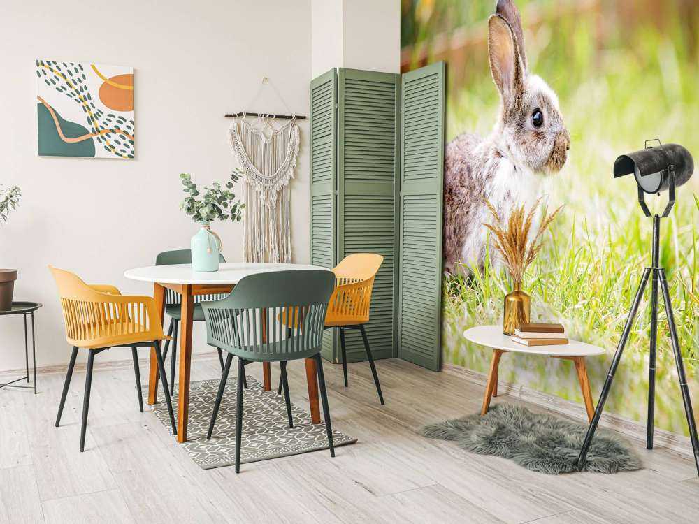 Schattig konijntje in een tuin