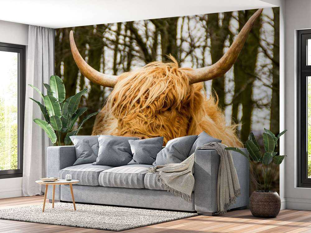 Schotse Hooglander met Bomen op achtergrond