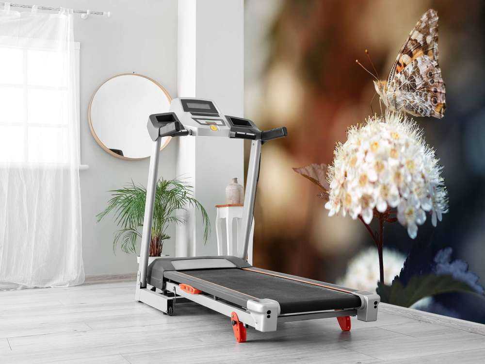 Vlinder op witte bloem