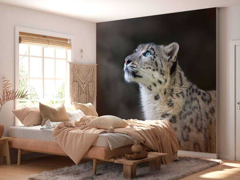 Sneeuwpanter met blauwe ogen