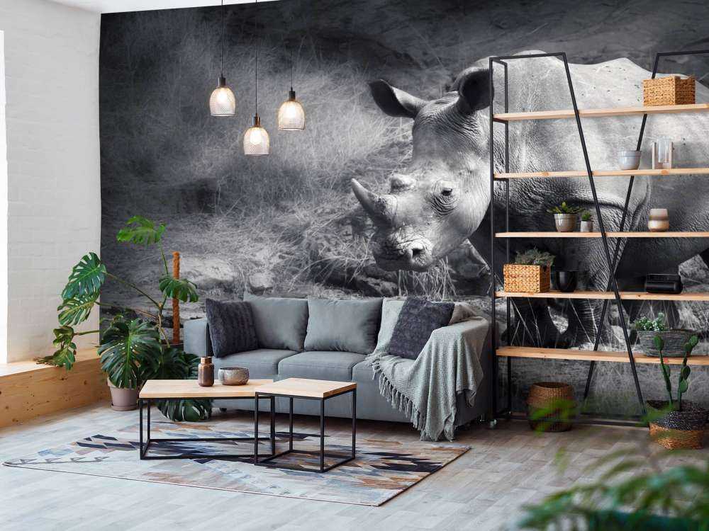 Neushoorn