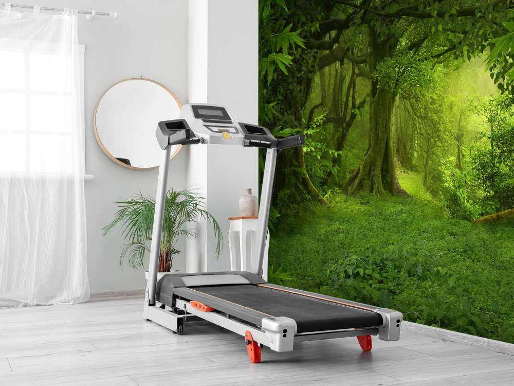 Tropische jungle
