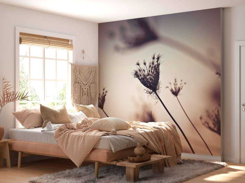 Silhouetten van planten