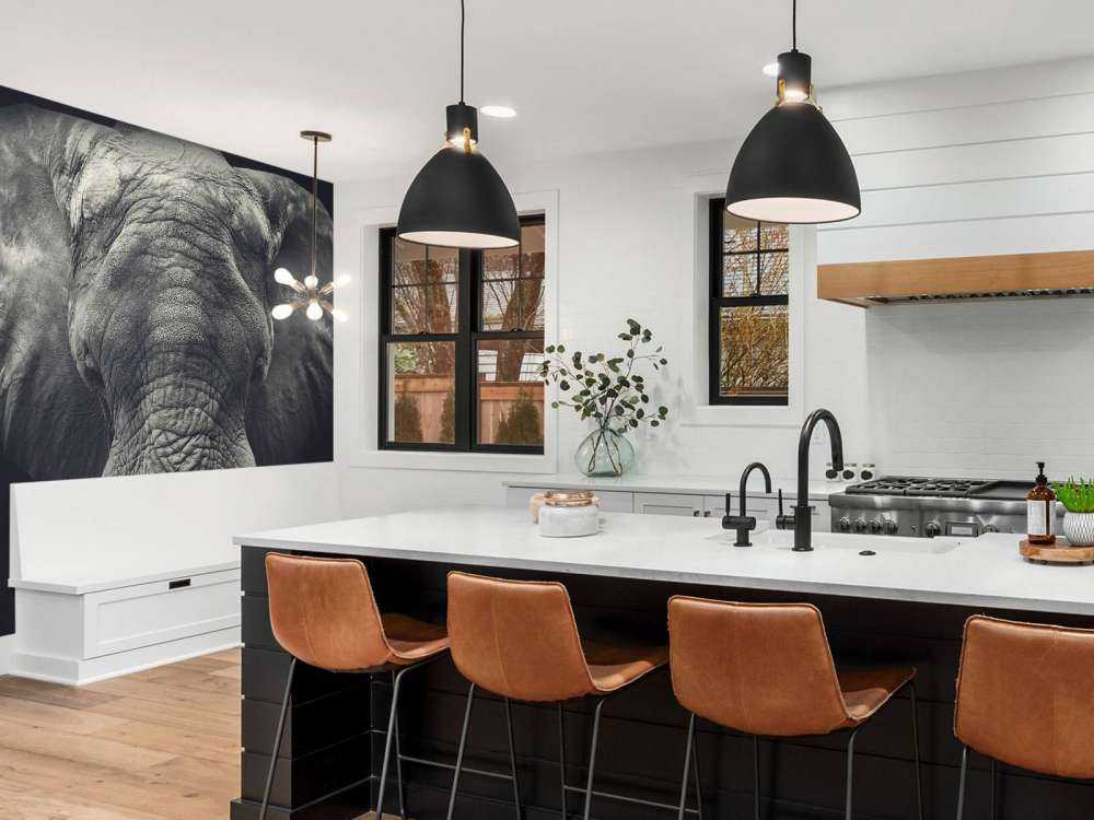 Close-up van een olifant