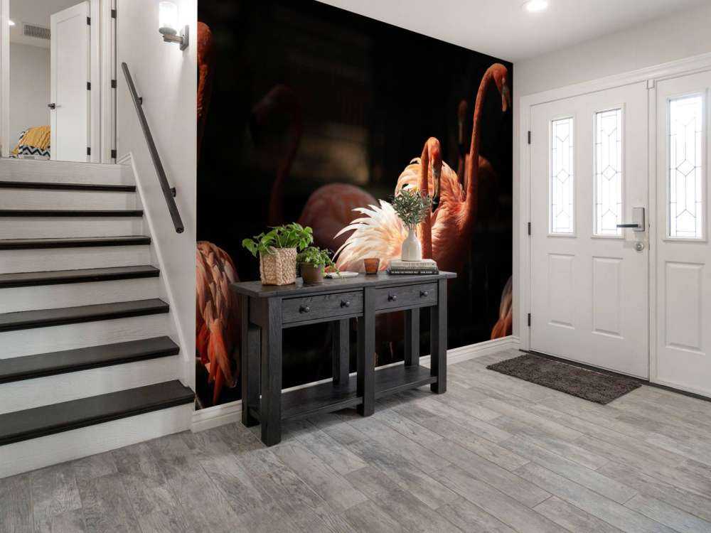 Flamingo's met een donkere achtergrond