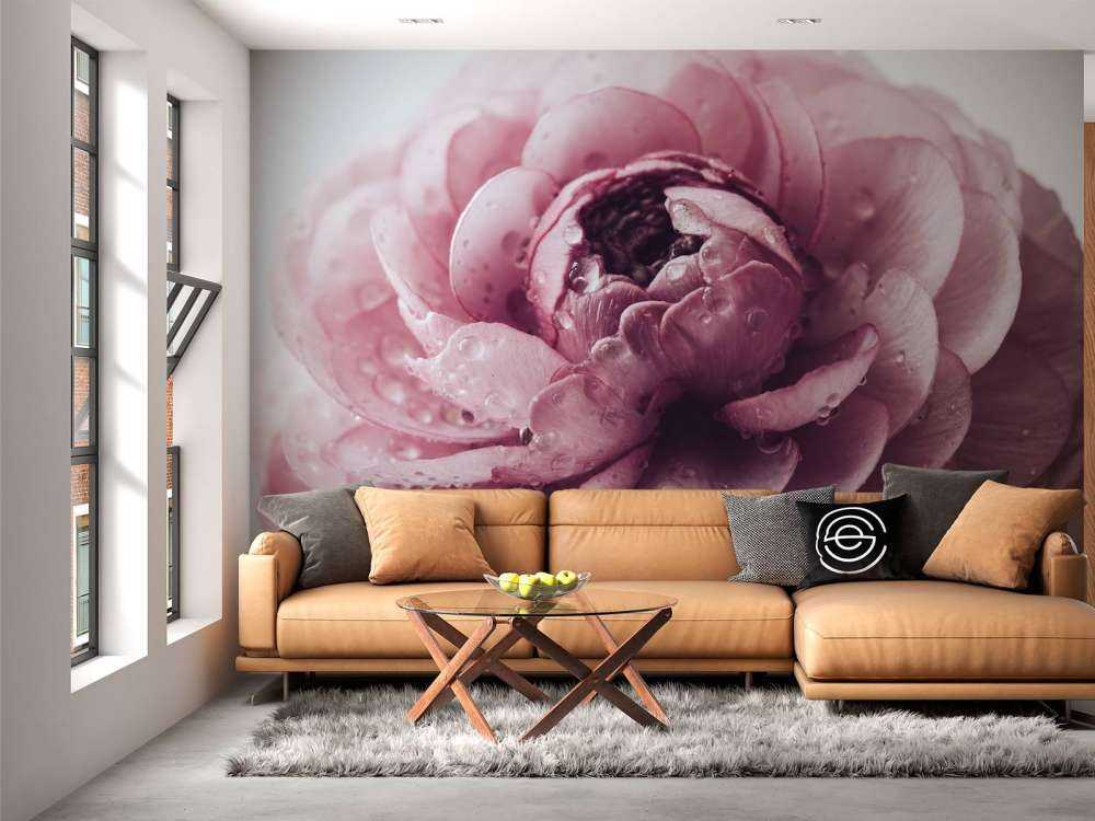 Roze boterbloem close-up