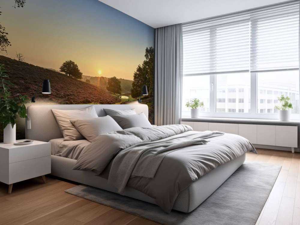 Waterplas op de heide