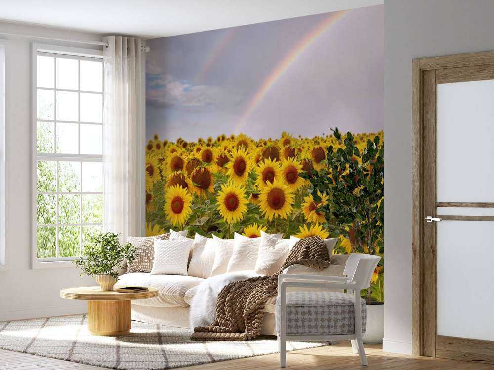 Regenboog bij zonnebloemen