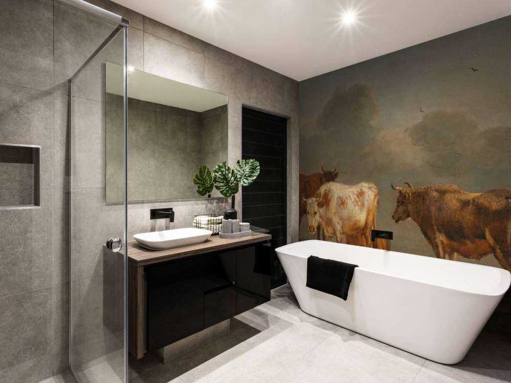 Vier jonge stieren in de wei