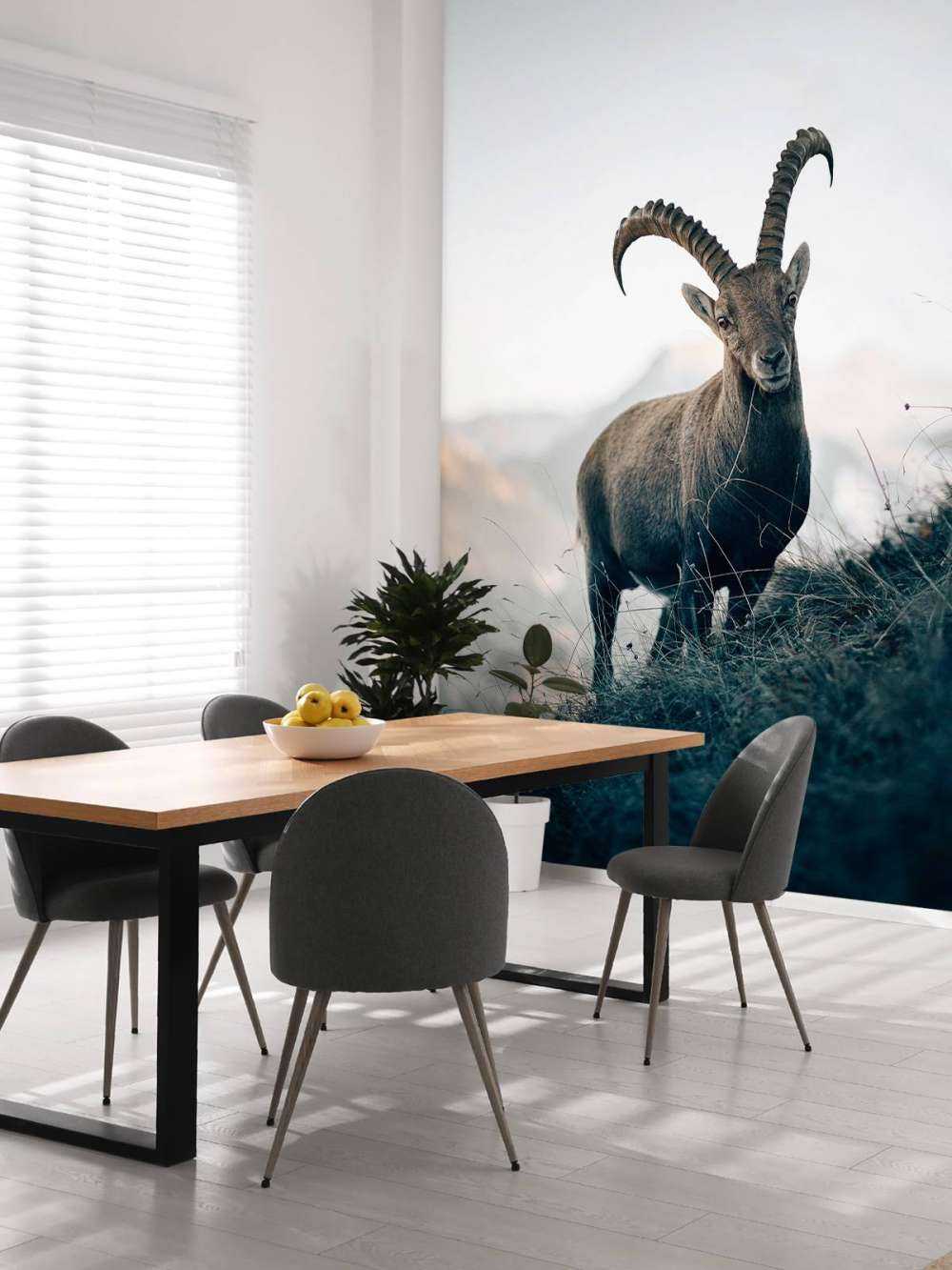 Steenbok in de bergen