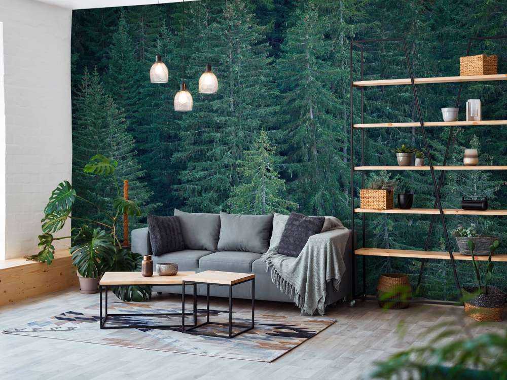 Naaldbomen met dennenappels