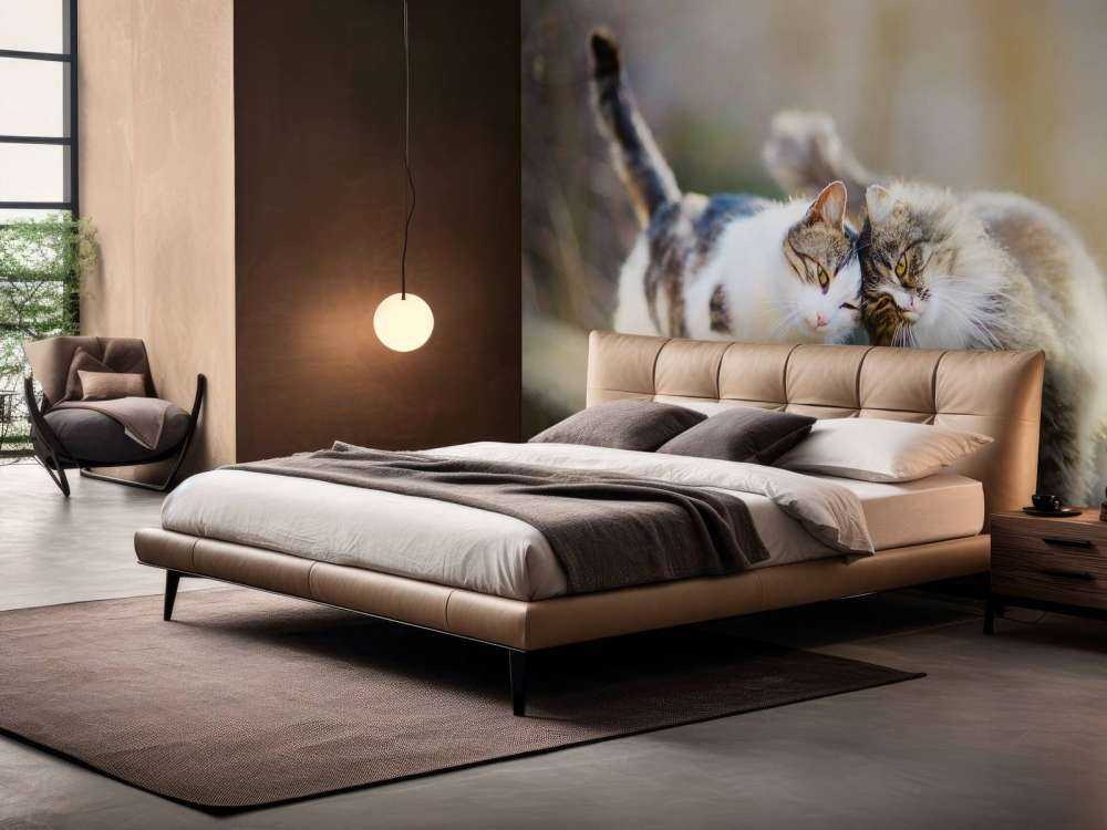 Twee schattige katjes