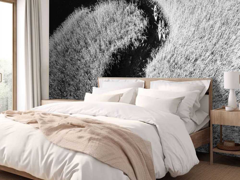 Kajaks in een rivier met riet